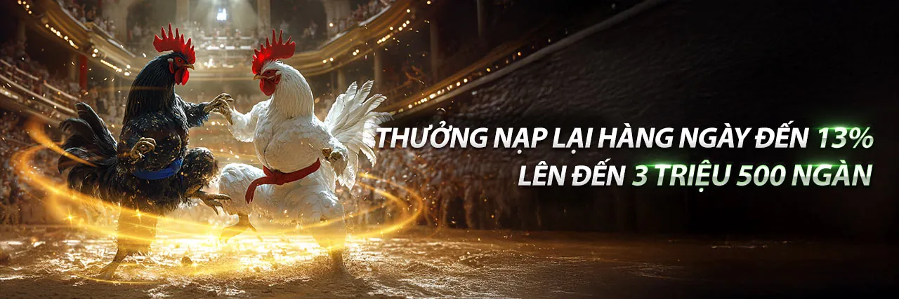Đá gà trực tuyến suncity game