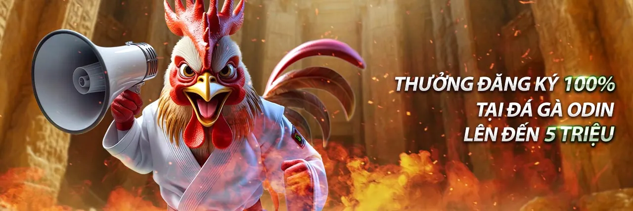Sân vận động bóng đá với ánh đèn rực rỡ tượng trưng cho cá cược thể thao suncity game