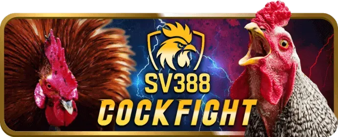 Mẹo và chiến lược chơi slot game hiệu quả